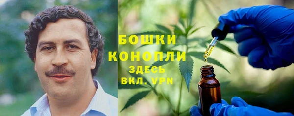дмт Абаза