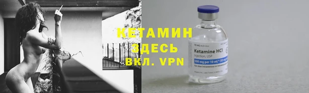дмт Абаза