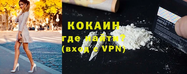 дмт Абаза
