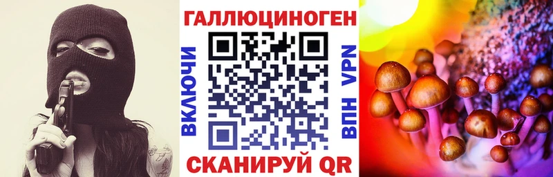 Псилоцибиновые грибы Cubensis  omg как зайти  Суздаль 