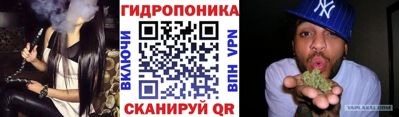 Каннабис ГИДРОПОН  Суздаль 